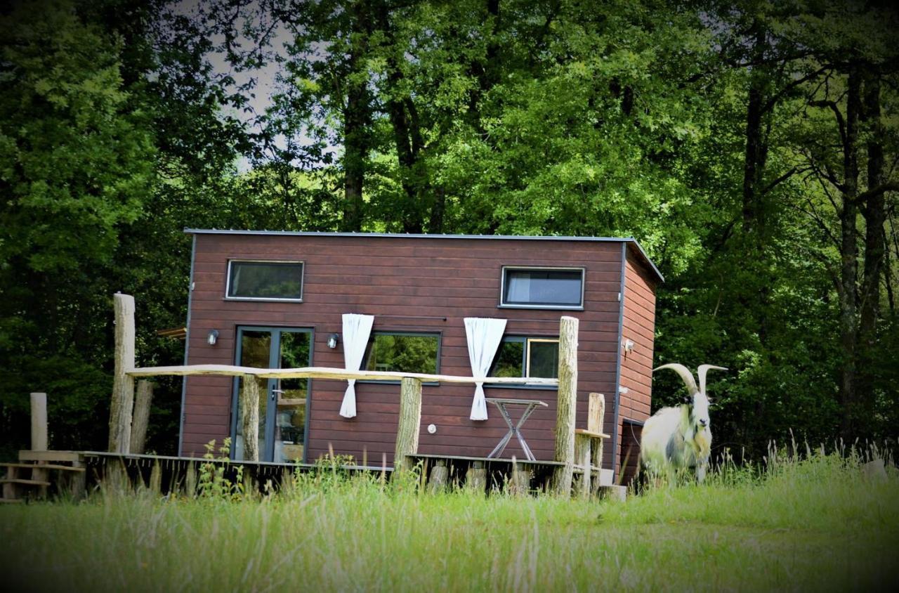 La Tiny House Terra Nostra Apartment Saint-Bazile Ngoại thất bức ảnh